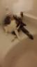 Mox_bathing_bathtub_20170122